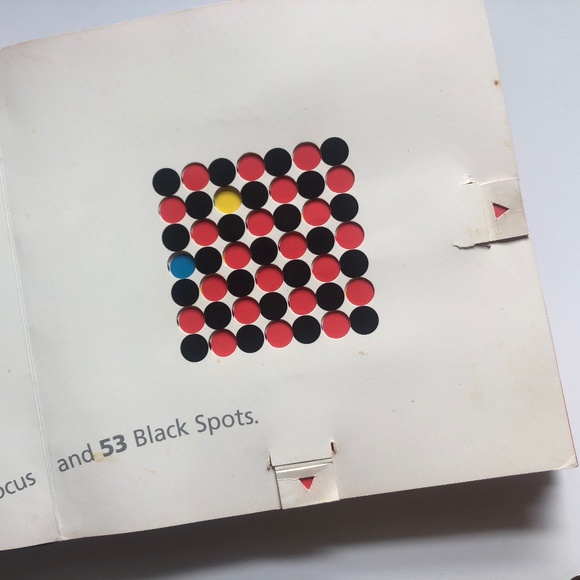 Hide and Seek Pop-Up Book David A. Carter - Picture 14 of 16